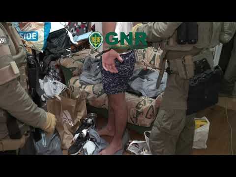 Desmantelada rede criminosa pela GNR