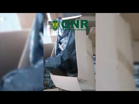 Apreensão Tabaco
