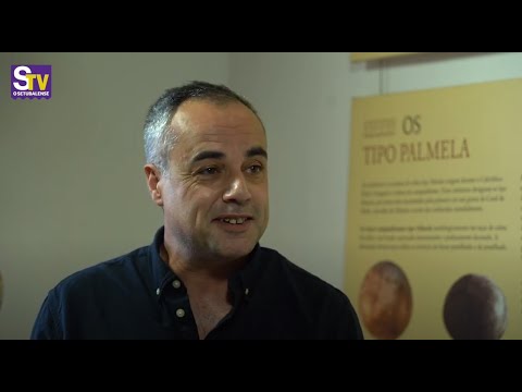 Carlos Oliveira: "O município pode ter uma rede local de transporte público"